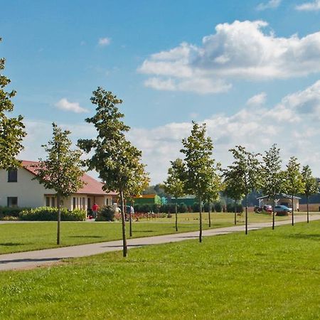 Ferienwohnung Hof Maiweg Alt Schonau Kültér fotó