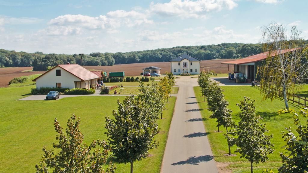 Ferienwohnung Hof Maiweg Alt Schonau Kültér fotó